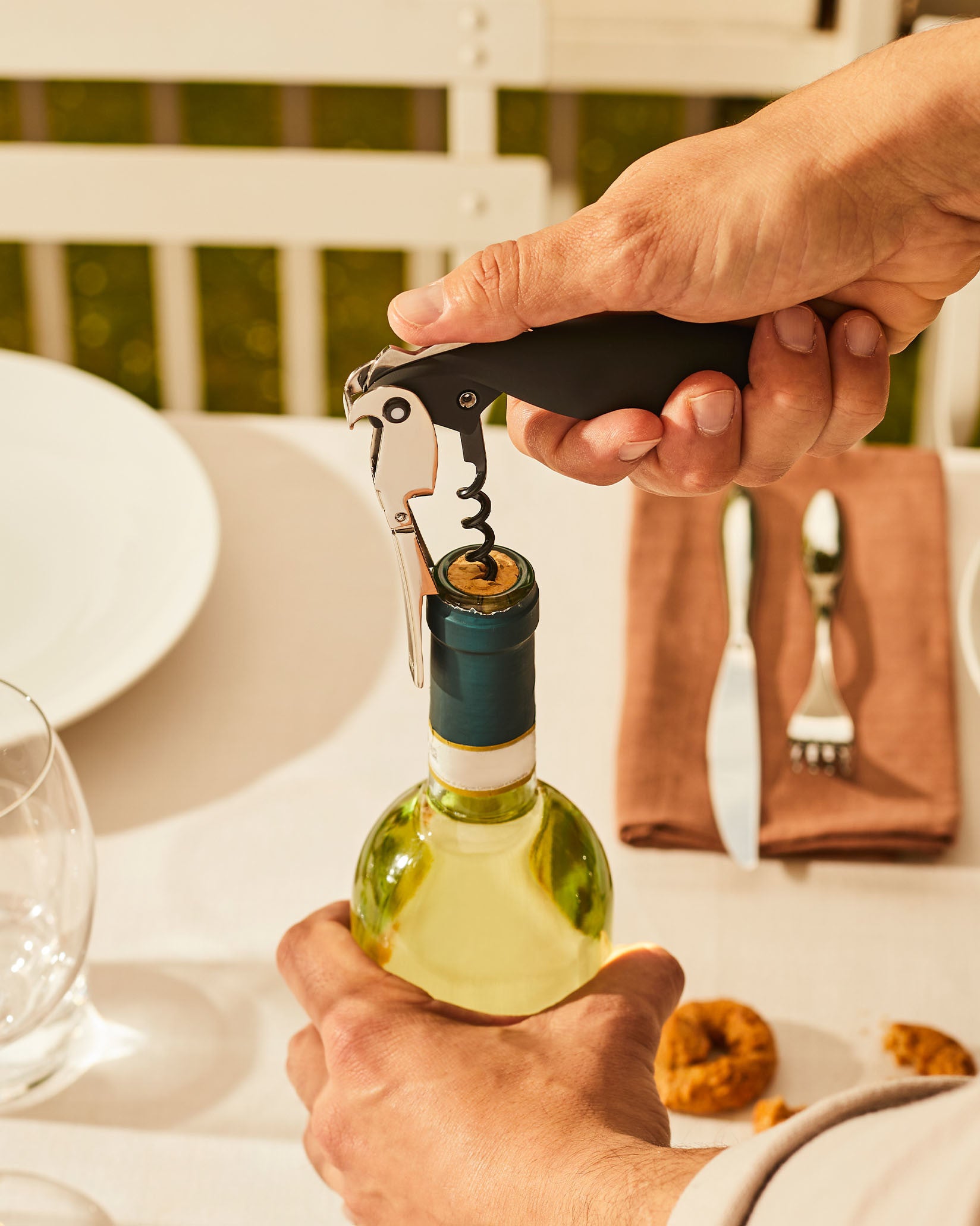 An image of Alessi Alessandro Mendini Parrot Proust Corkscrew