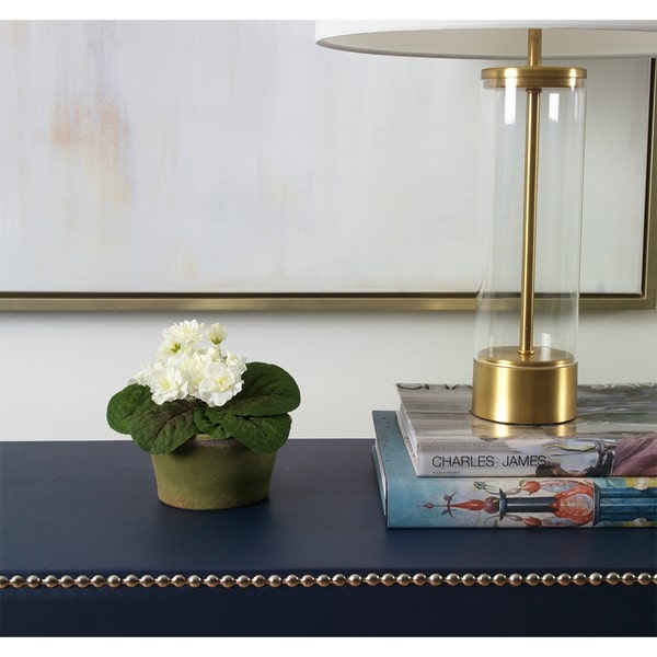 An image of Diane James Blooms White African violet plant in terracotta planter - 7"d x 7" h