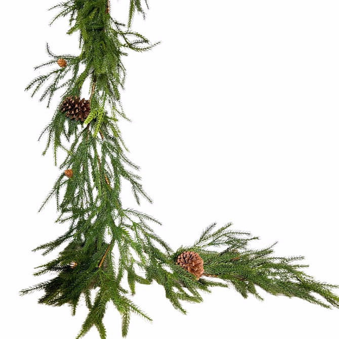 David Christopher Pacific Norfolk Pine-Cone Garland