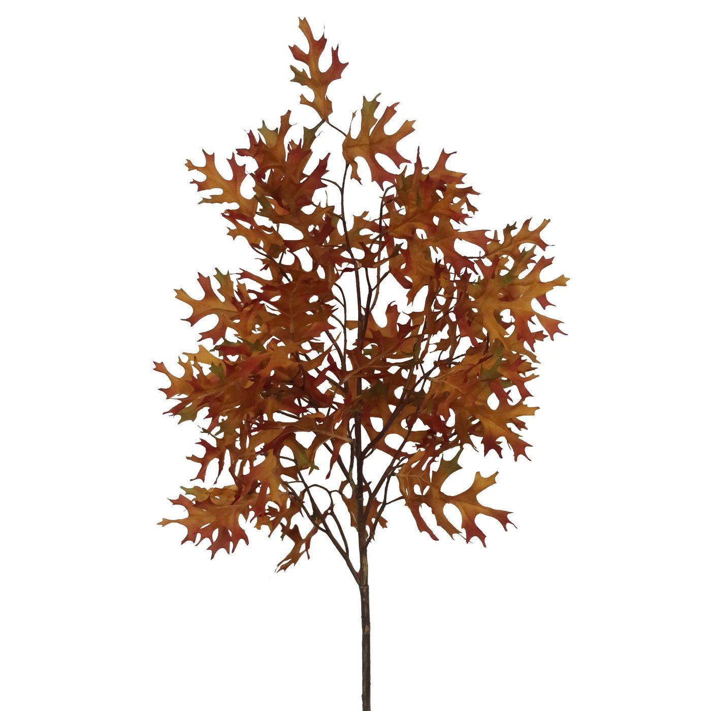 Winward Oak Leaf Branch