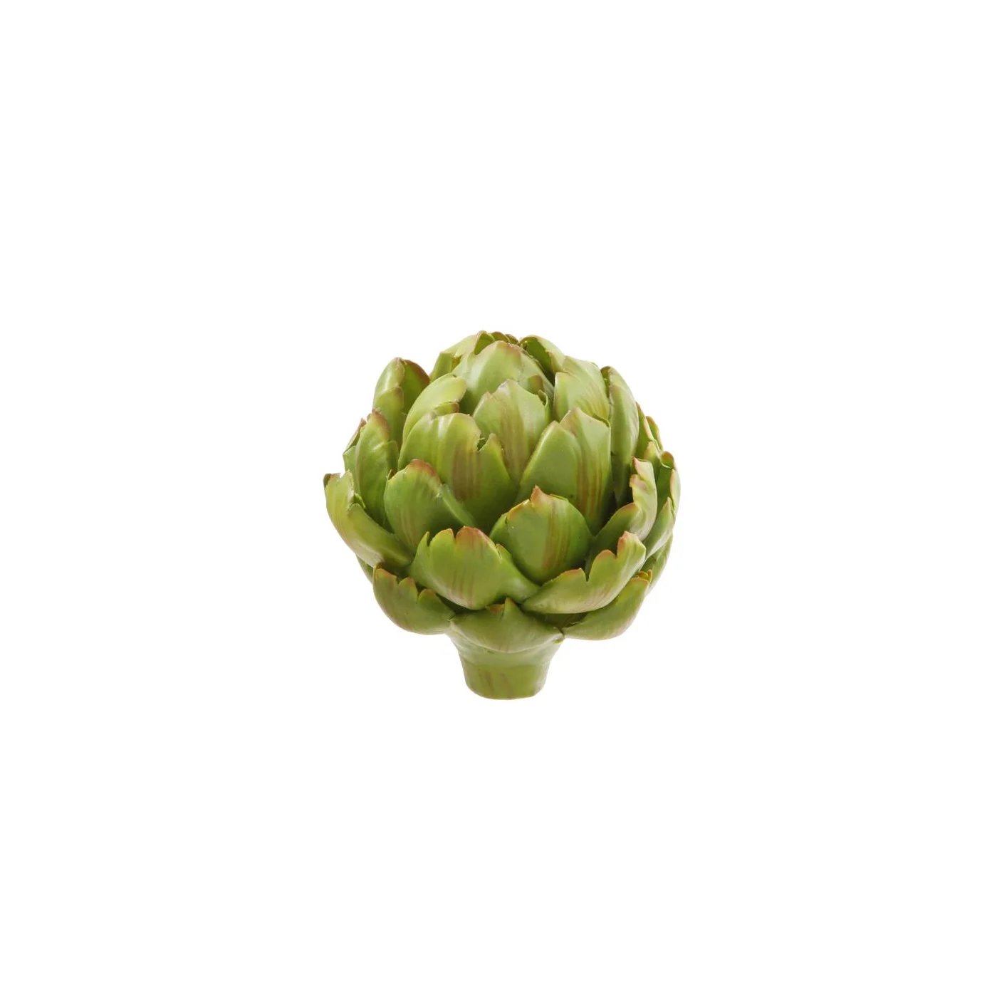 An image of Winward Artichoke