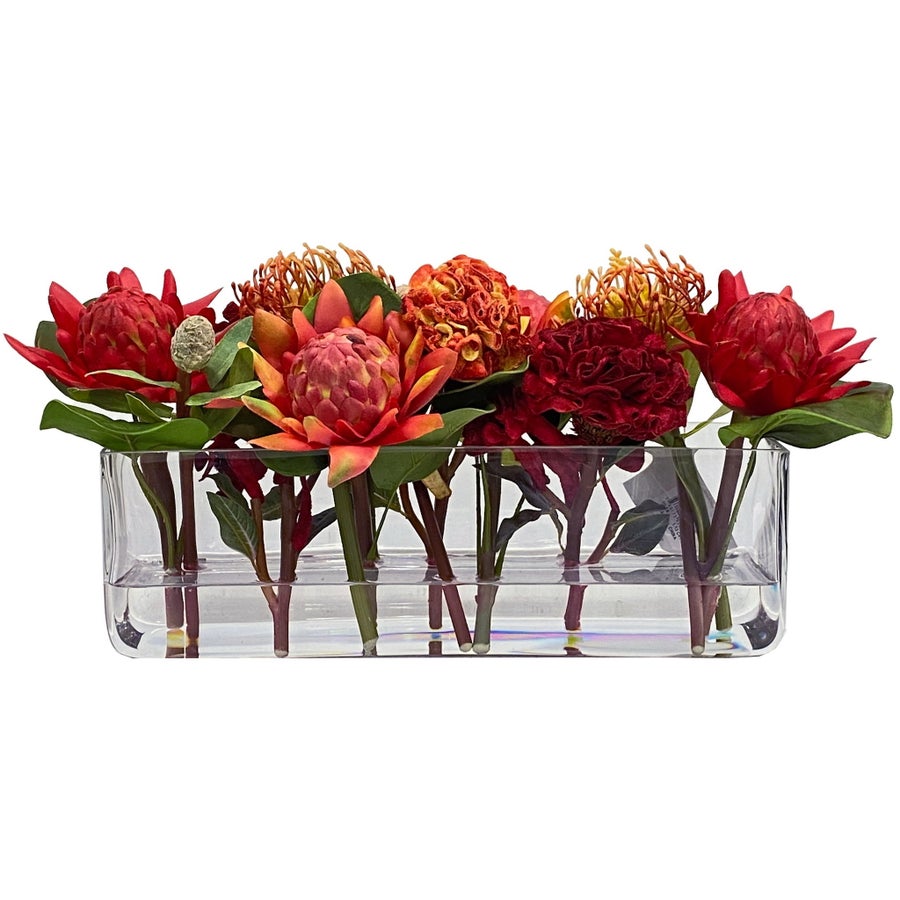Winward Waratah Ball Celosia in Glass