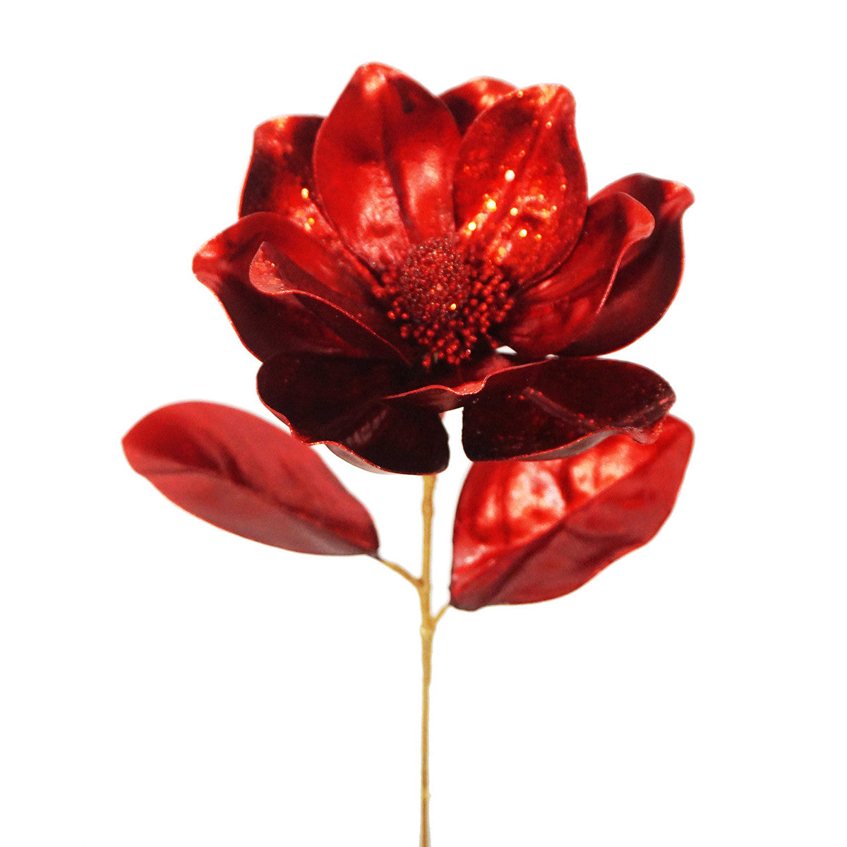 An image of Winward Red Dynasty Magnolia - 21 inch