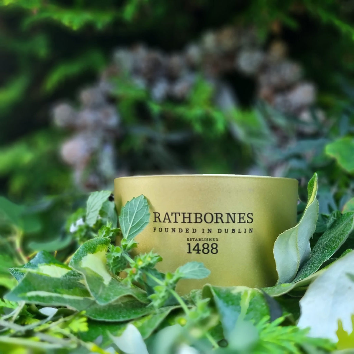 An image of John Rathbornes Dublin Christmas 4-Wick Candle 13.7 oz