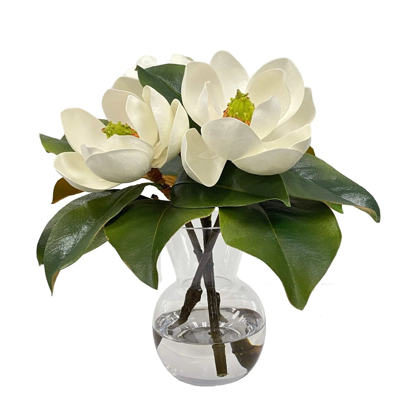 Winward White Magnolias in Vase