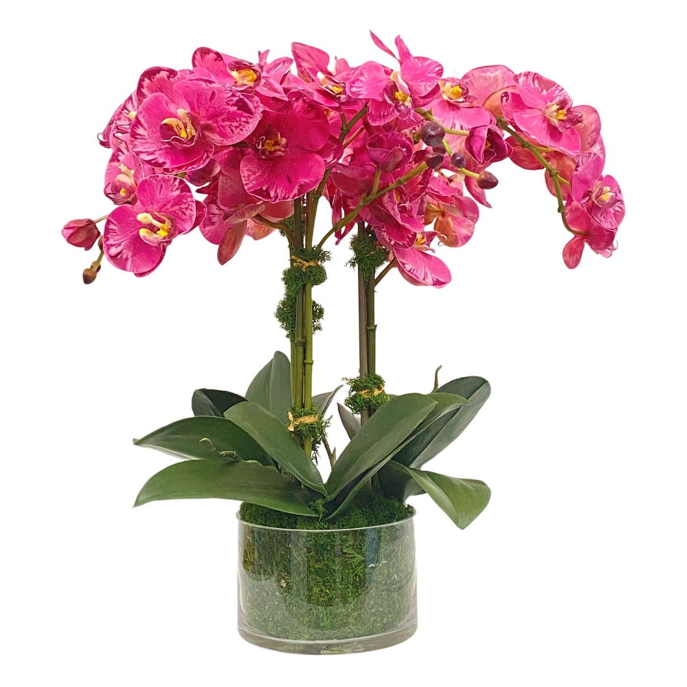 Winward Orchid in Round Glass