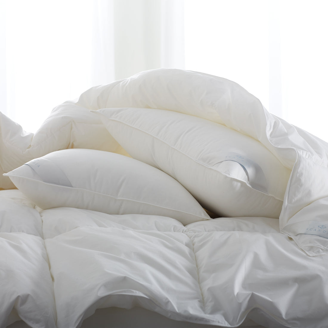 An image of Scandia Home Bergen Down-Free Pillow