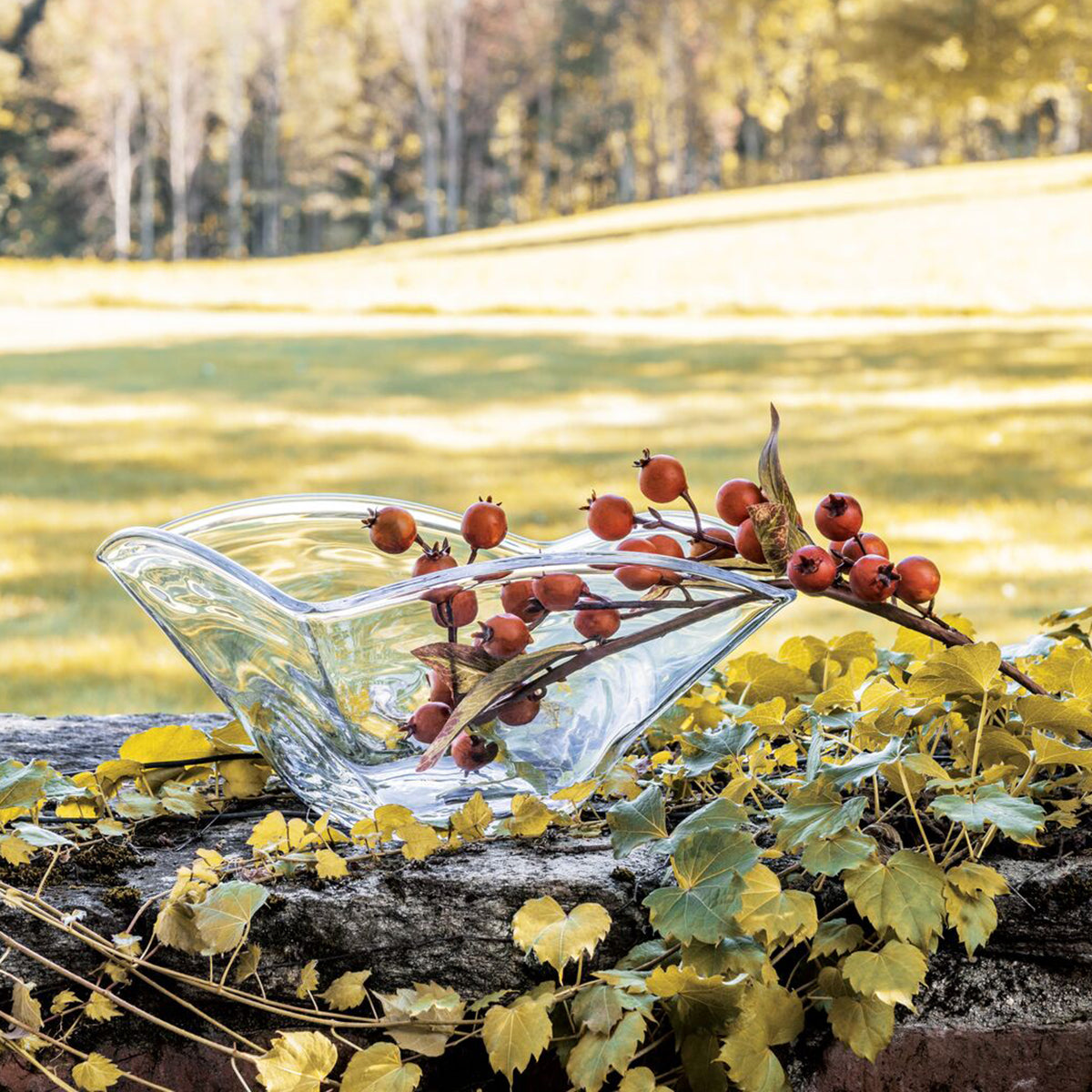 An image of Simon Pearce Woodbury Bowl
