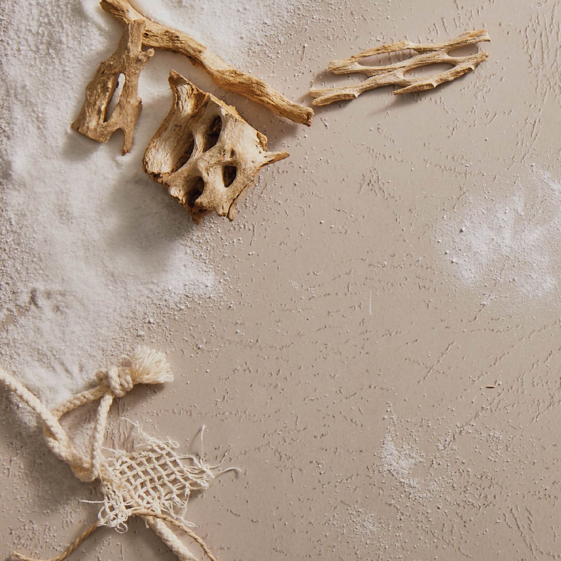 An image of Thymes Aqua Coralline Reed Diffuser Oil Refill 7.75 fl oz