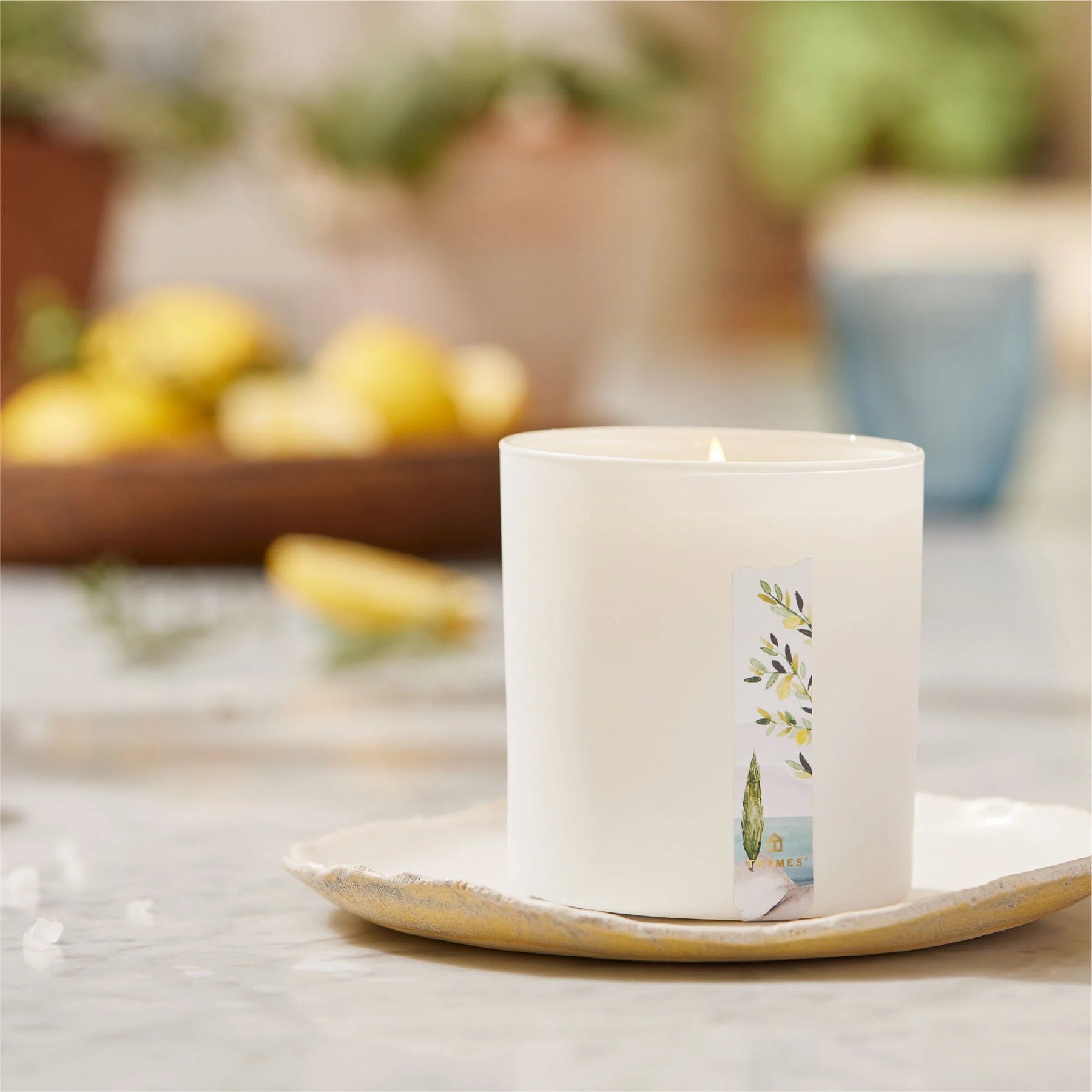 An image of Thymes Cypress Sea Salt Poured Candle 8.0 oz