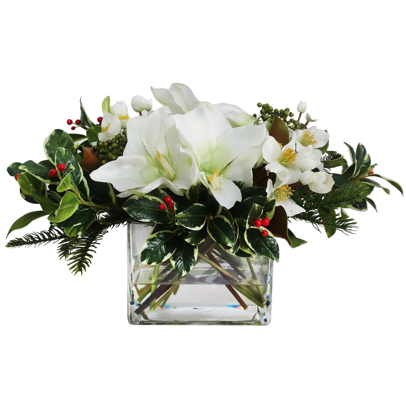 Winward Holiday Amaryllis in Rectangular Vase