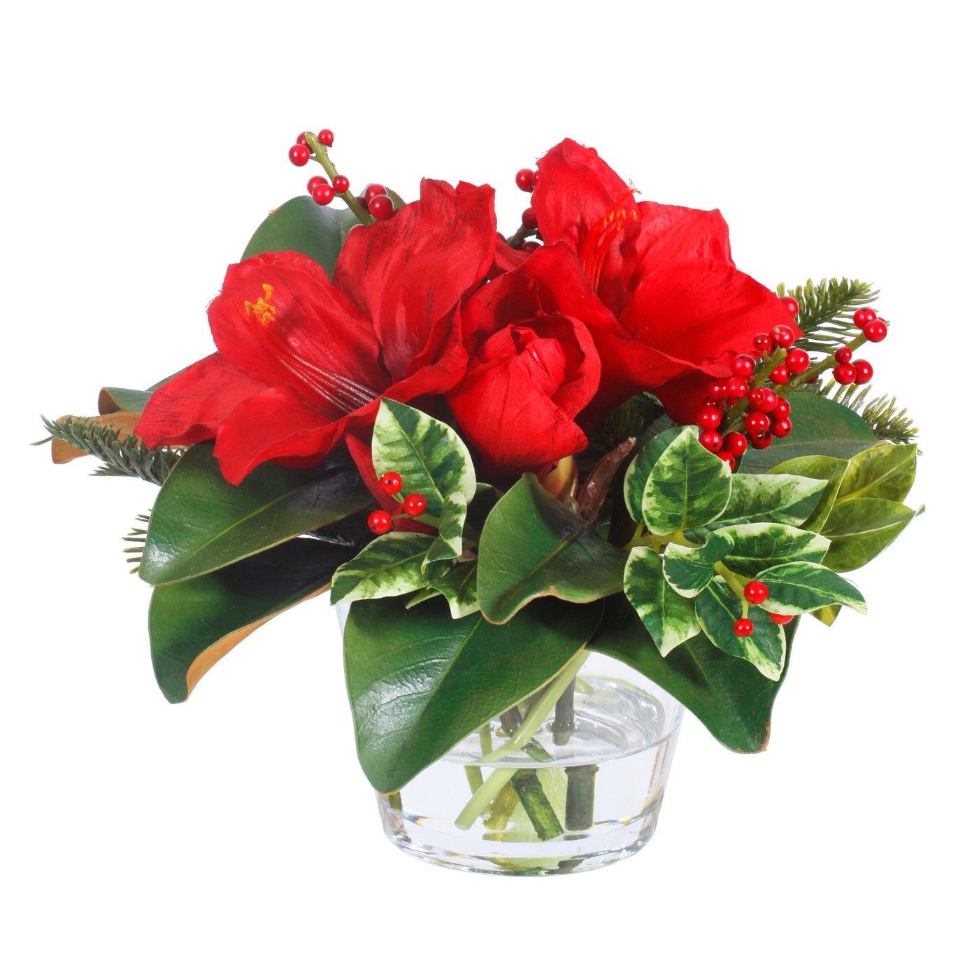 Winward Holiday Amaryllis and Holly in Vase
