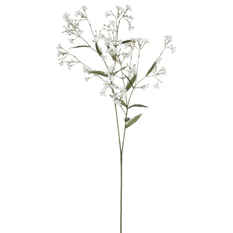 Winward Wild Wax Flower Spray White