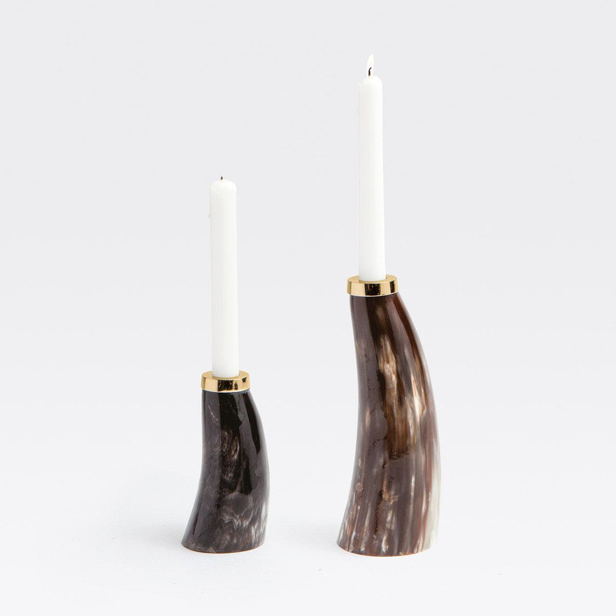 Blue Pheasant Brian Mixed Horn Candle Holders (Set of 2)