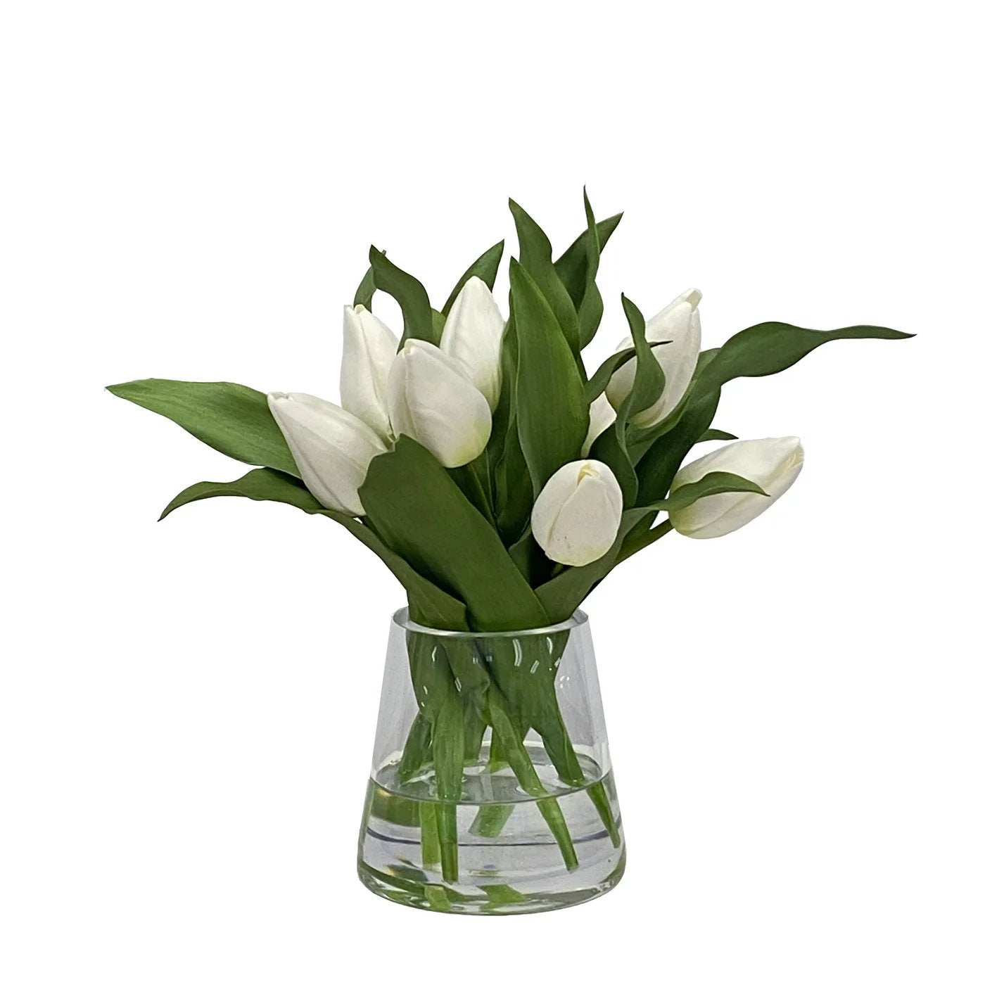 Winward White Tulip in Vase