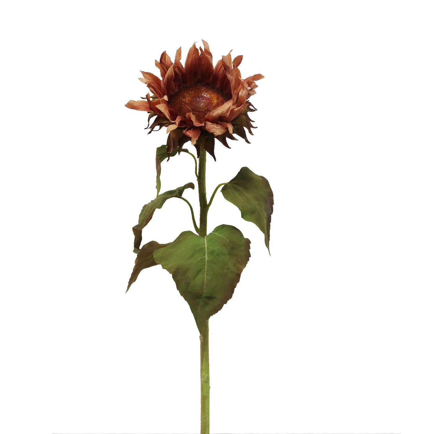 Winward Brown Sunflower Stem