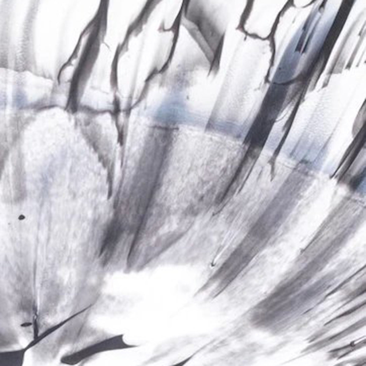 Nashi Home Classical Servers