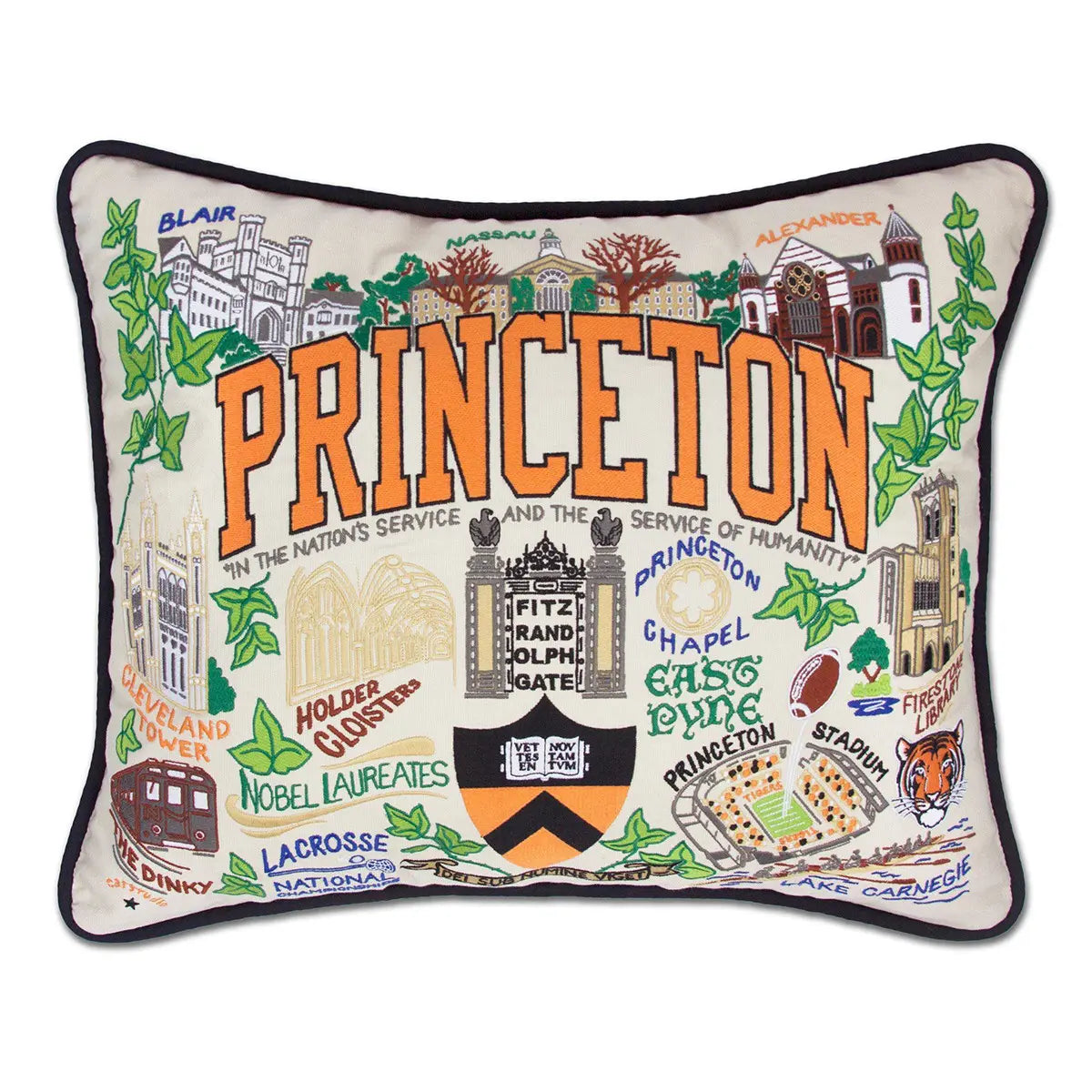 An image of Catstudio Princeton University Pillow