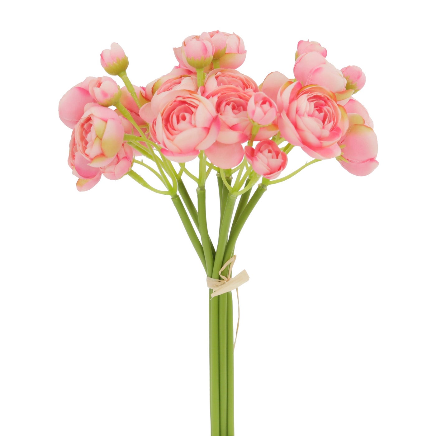 An image of Winward Ranunculus Bundle