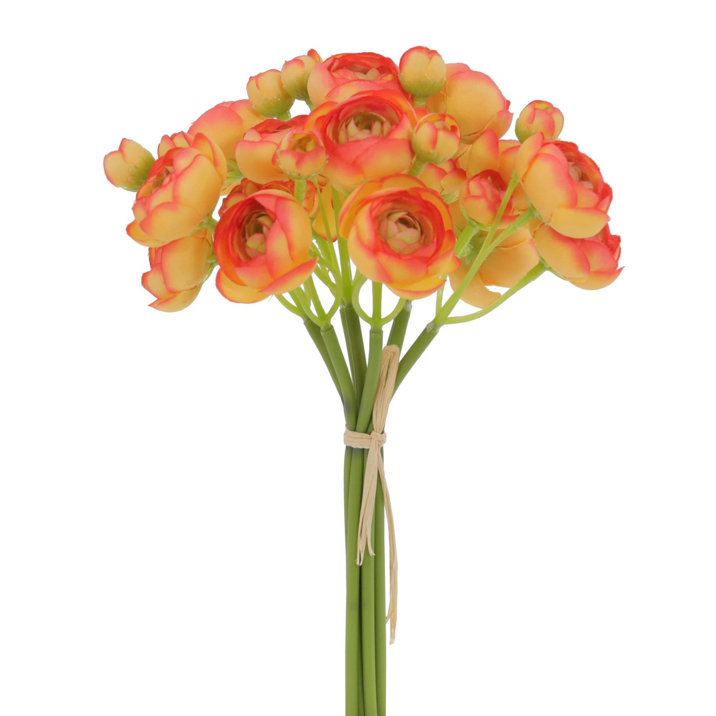 An image of Winward Ranunculus Bundle