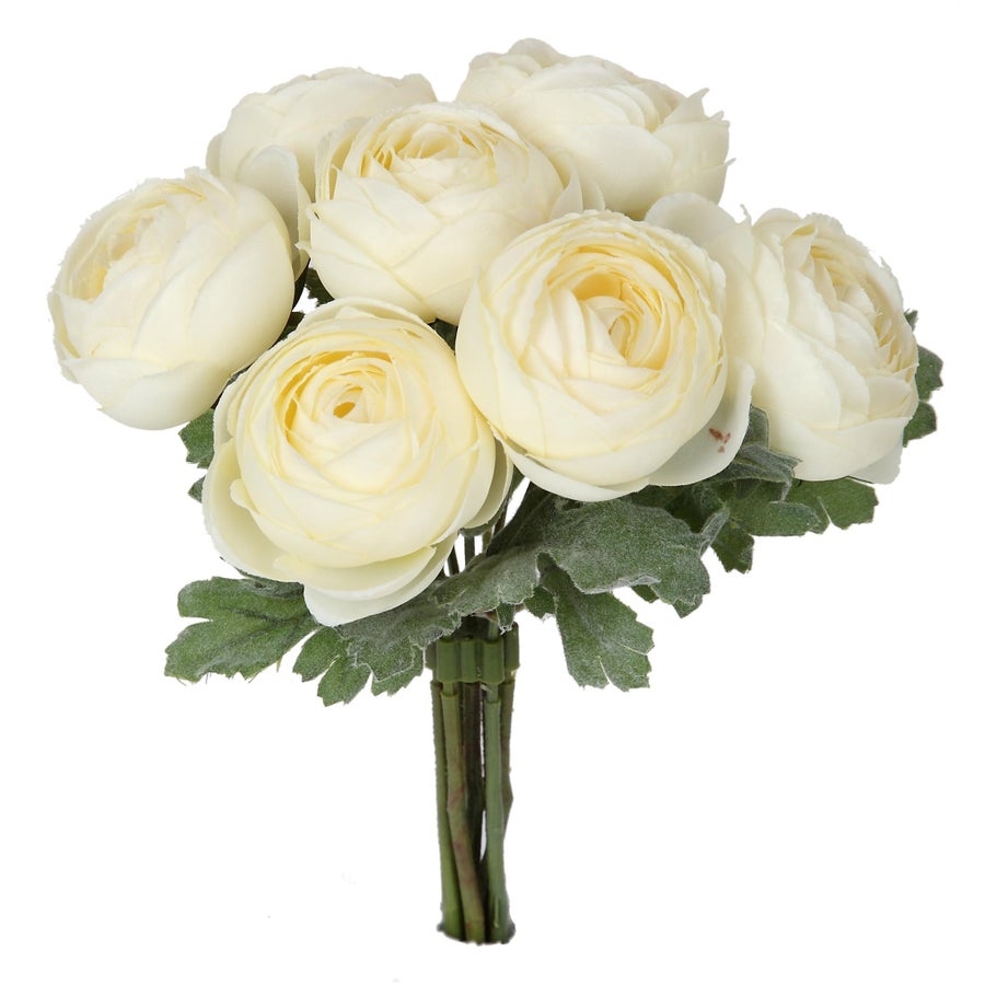 An image of Winward 8.5" Ranunculus Bundle - Cream