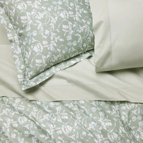Sferra Ramaglia Shams
