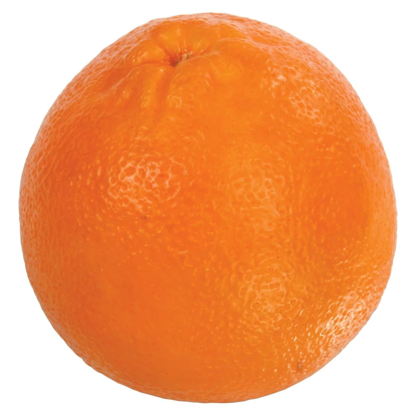 An image of Winward 3.5" Large Orange