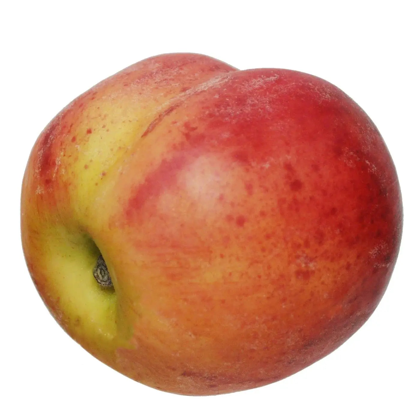 Winward Peach