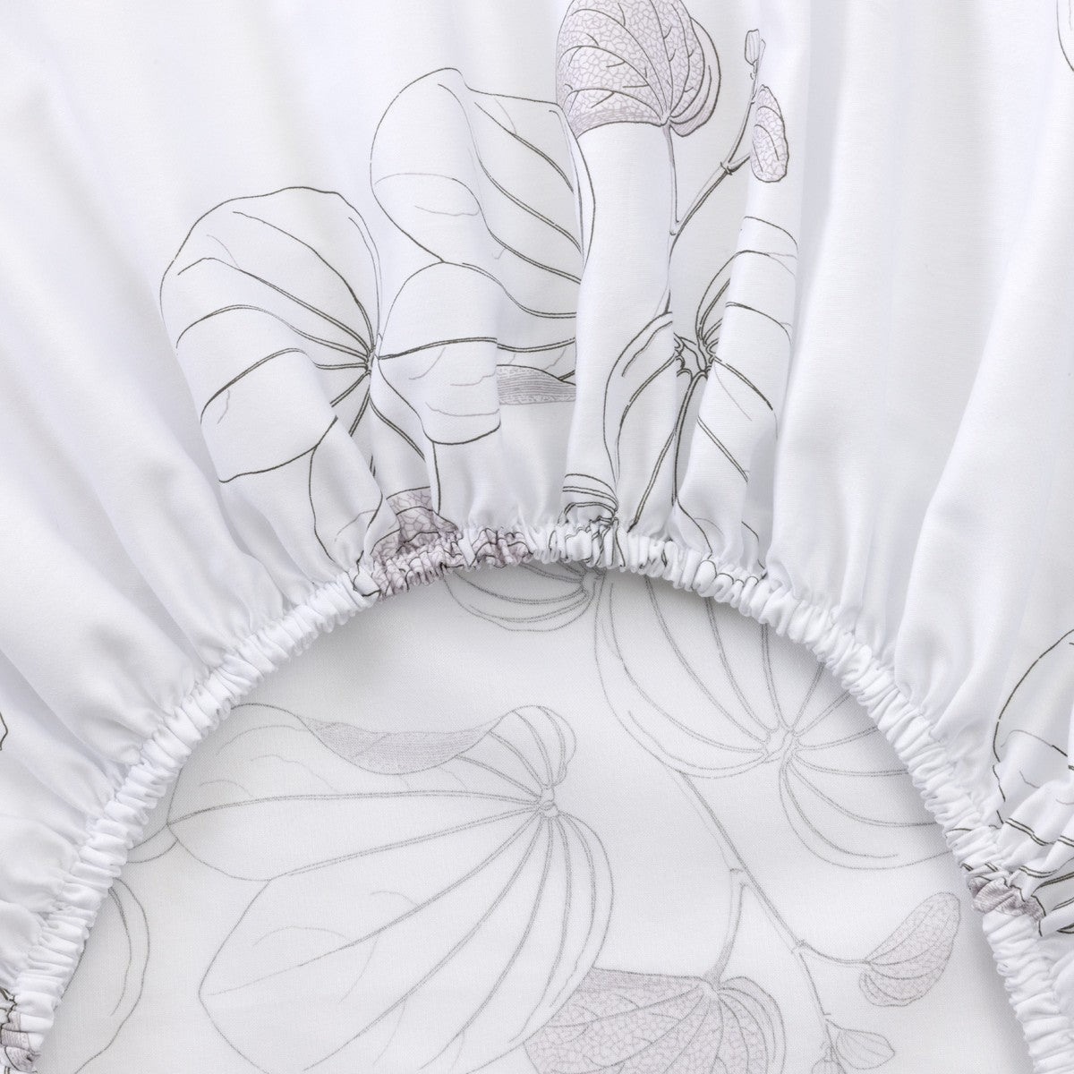 An image of Yves Delorme Orchidee Fitted Sheet