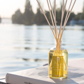 Antica Farmacista Grapefruit Reed Diffuser 8.5 fl oz