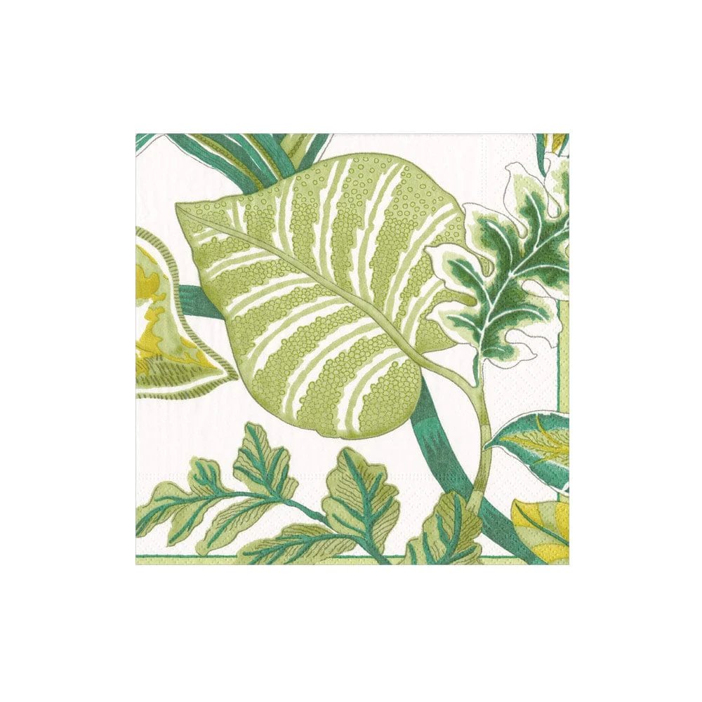 An image of Caspari Florida Cocktail Napkins