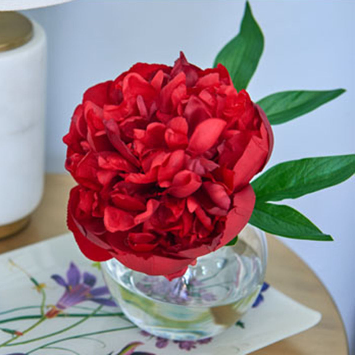 Diane James Red Peony Blossom
