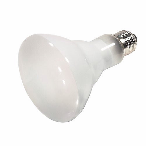 An image of Satco 45 watt Halogen R20- Frosted Medium base 120 volts