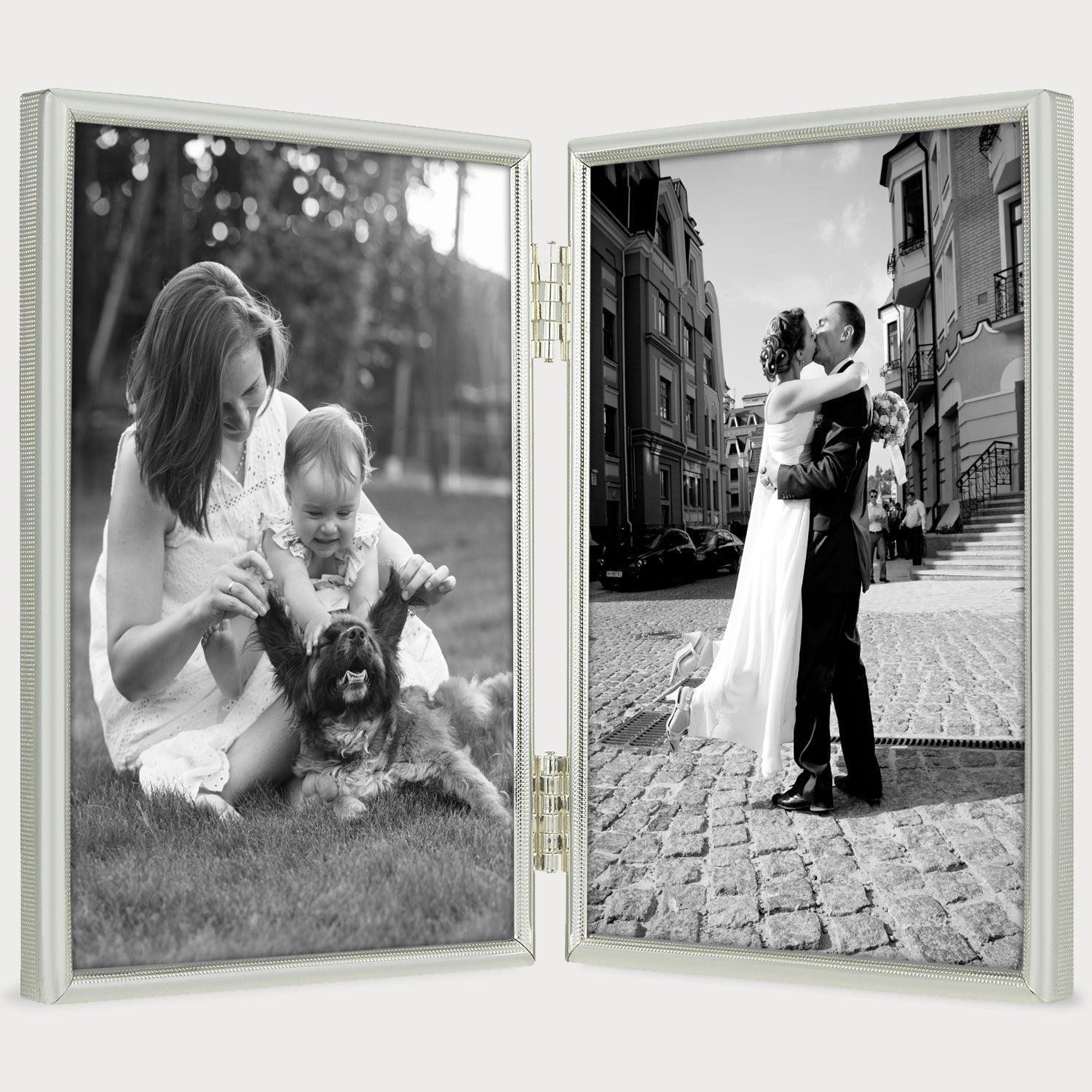 Siena Narrow Mesh Silverplate Double frame