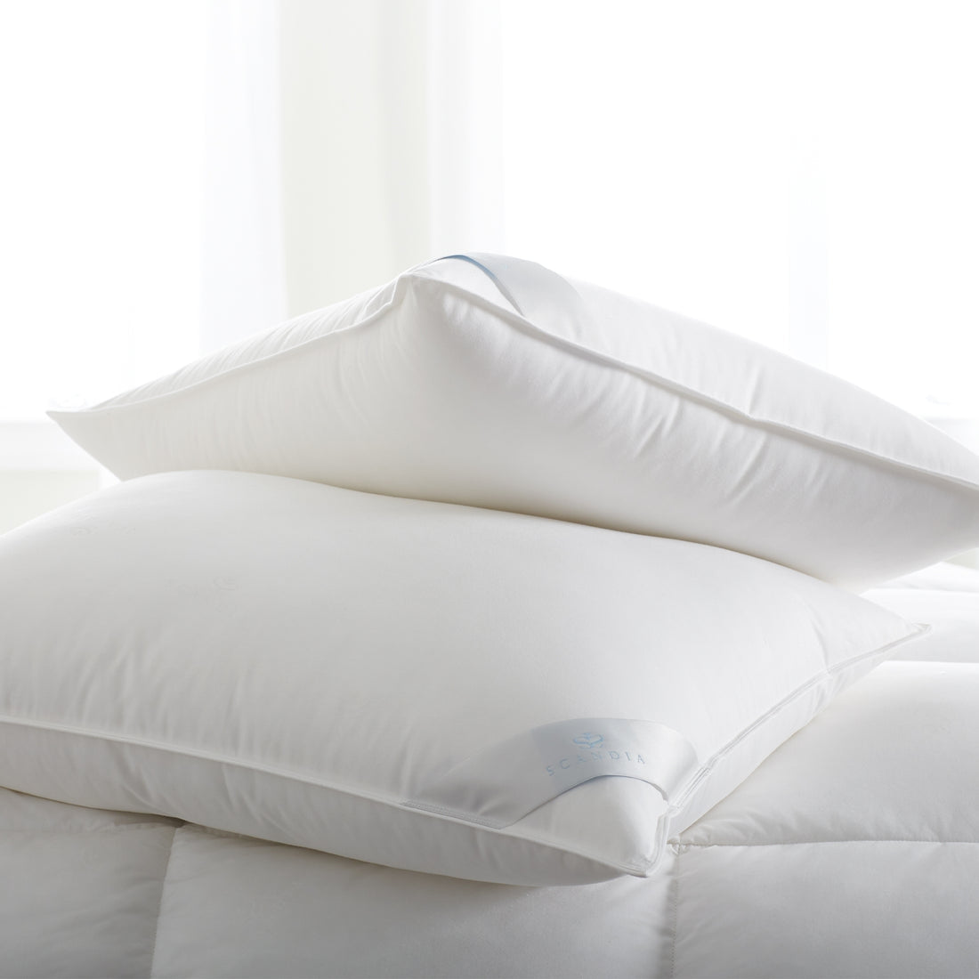 An image of Scandia Home Bergen Down-Free Pillow