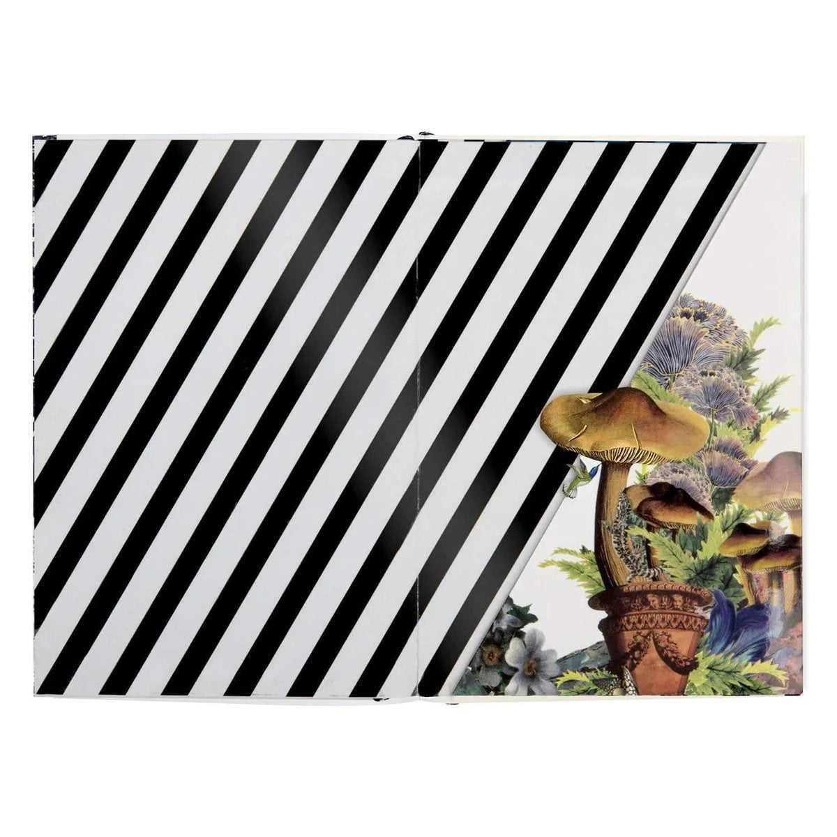 An image of Hachette Christian Lacroix Idylle en vol A5 Notebook