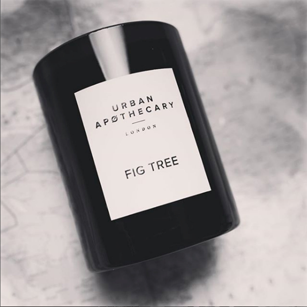 An image of Urban Apothecary Fig Tree  Candle 10.6 oz