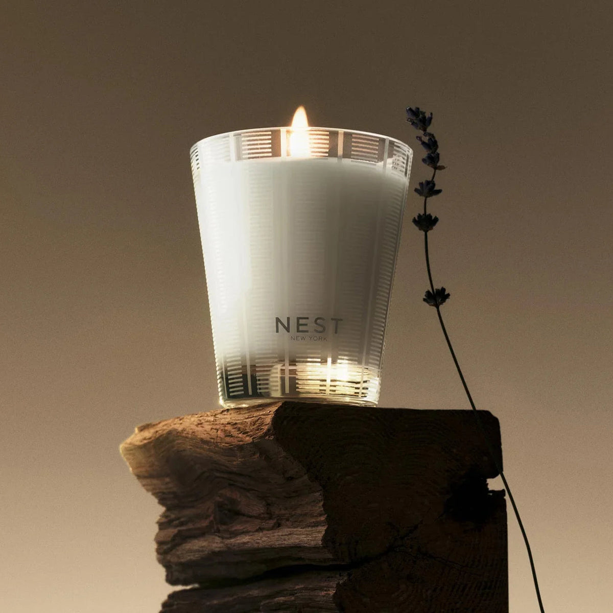 An image of Nest Fragrances Cedar Leaf & Lavender Classic Candle 8.1 oz