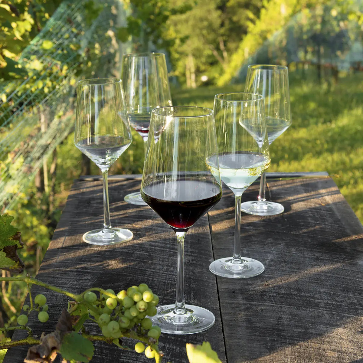 Five Filled Fortessa Tritan Pure Cabernet Glasses set on a wood table outdoors
