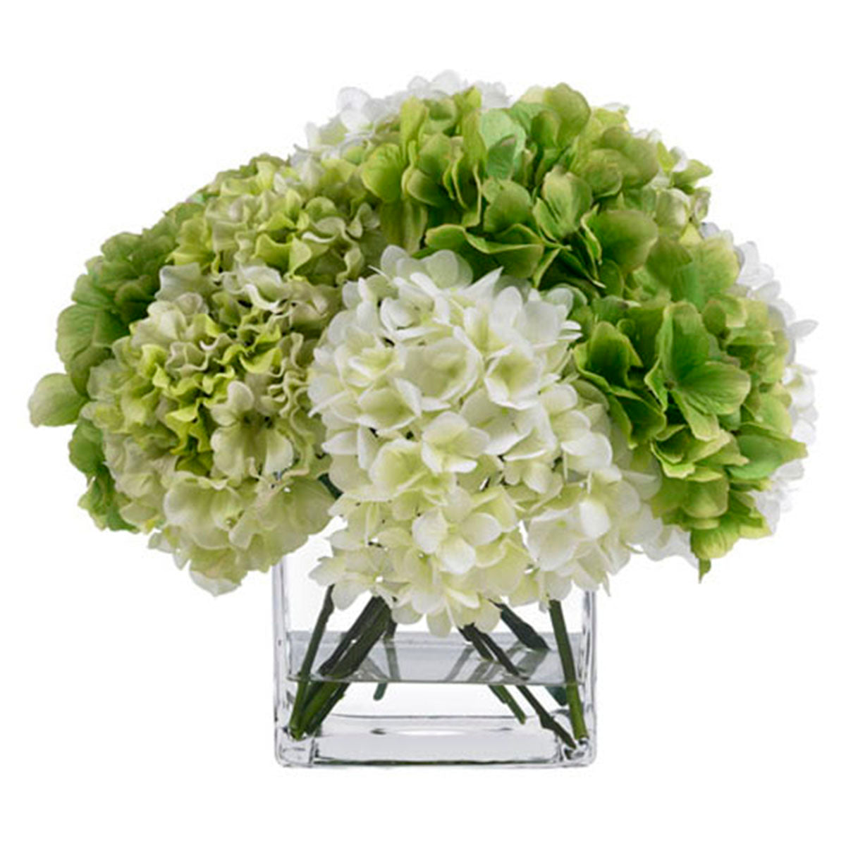 An image of Diane James Green & Cream Hydrangea Bouquet in Glass Cube