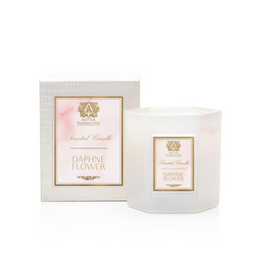 GH133492_Antica_Farmacista_Daphne_Flower_9oz_Candle_3.png