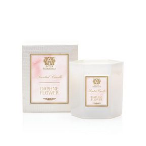 Antica Farmacista Daphne Flower Candle 9 oz