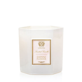 Antica Farmacista Daphne Flower Candle 9 oz