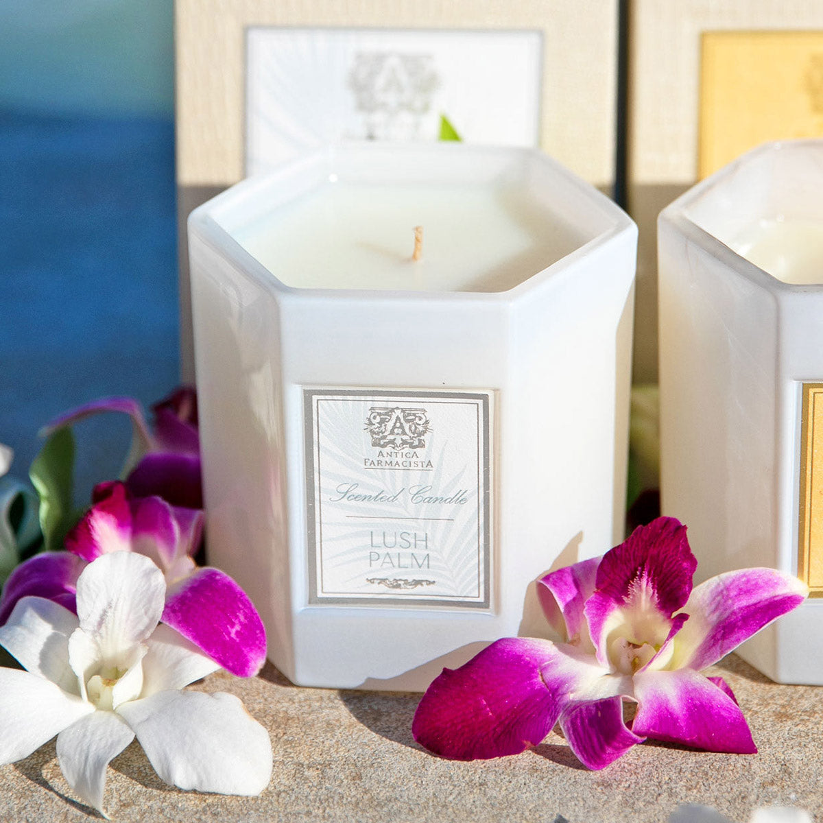 An image of Antica Farmacista Lush Palm Candle 9 oz