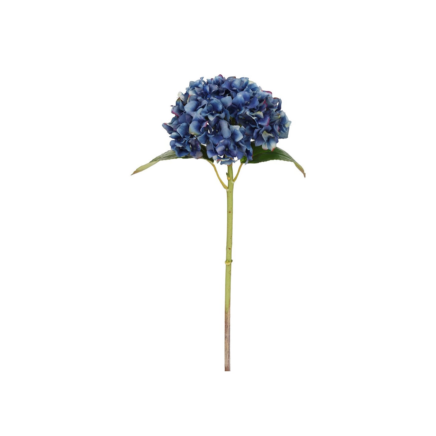 An image of Winward 18" Hydrangea Short stem