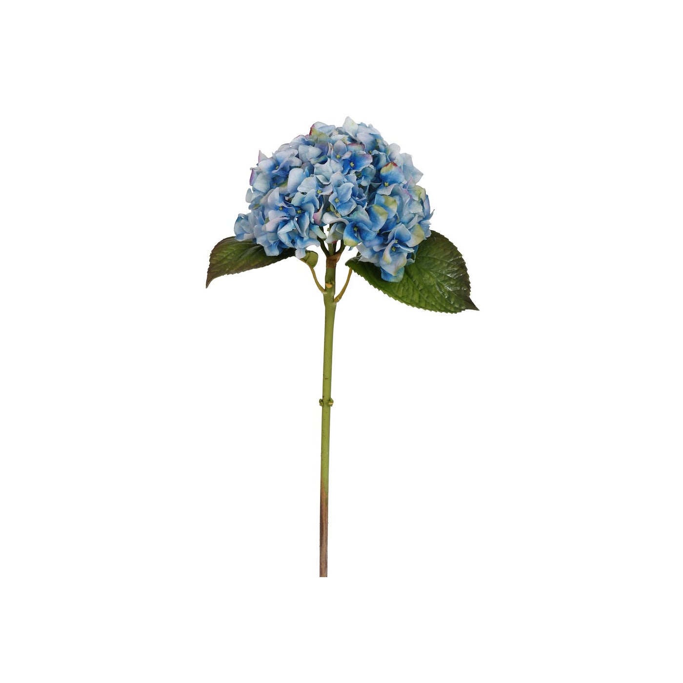 An image of Winward 18" Hydrangea Short stem
