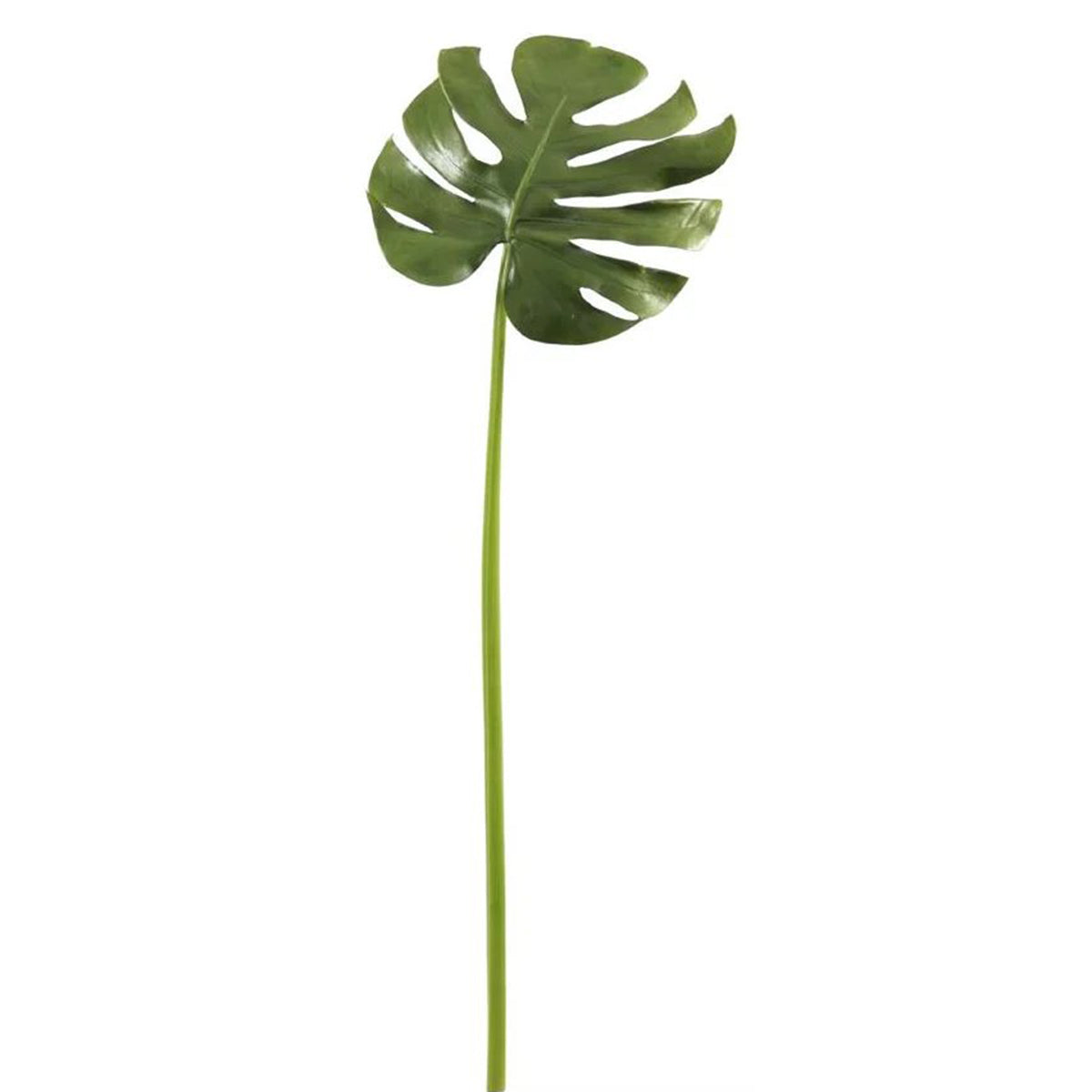 An image of Winward Leaf Monstera Spray