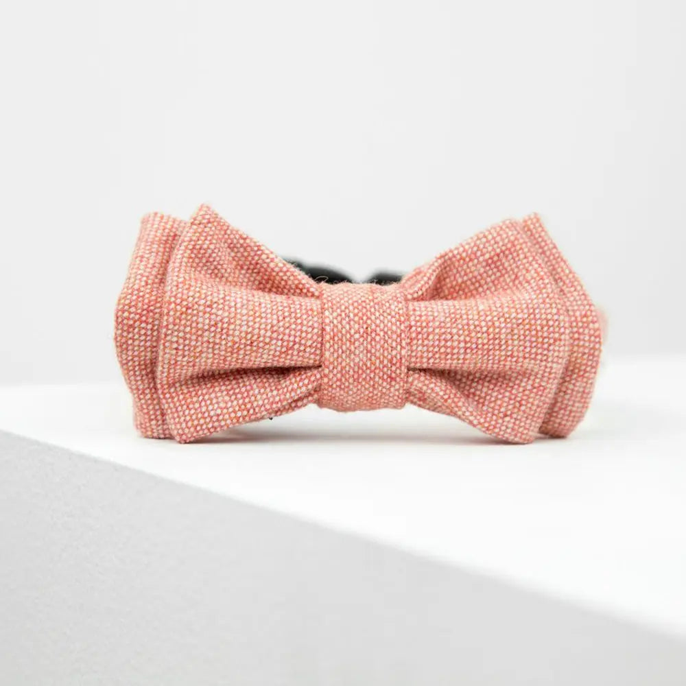 Max-Bone Natasha Bow Tie - Coral