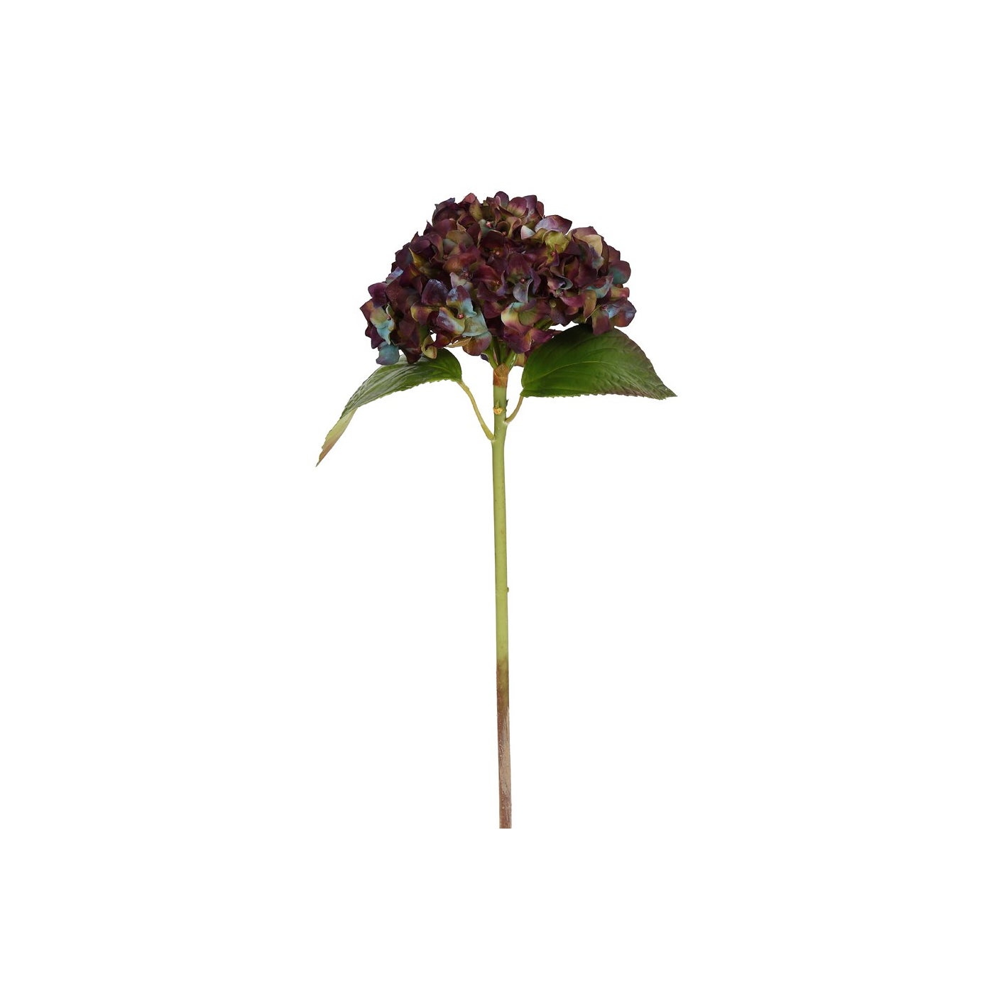 An image of Winward 18" Hydrangea Short stem