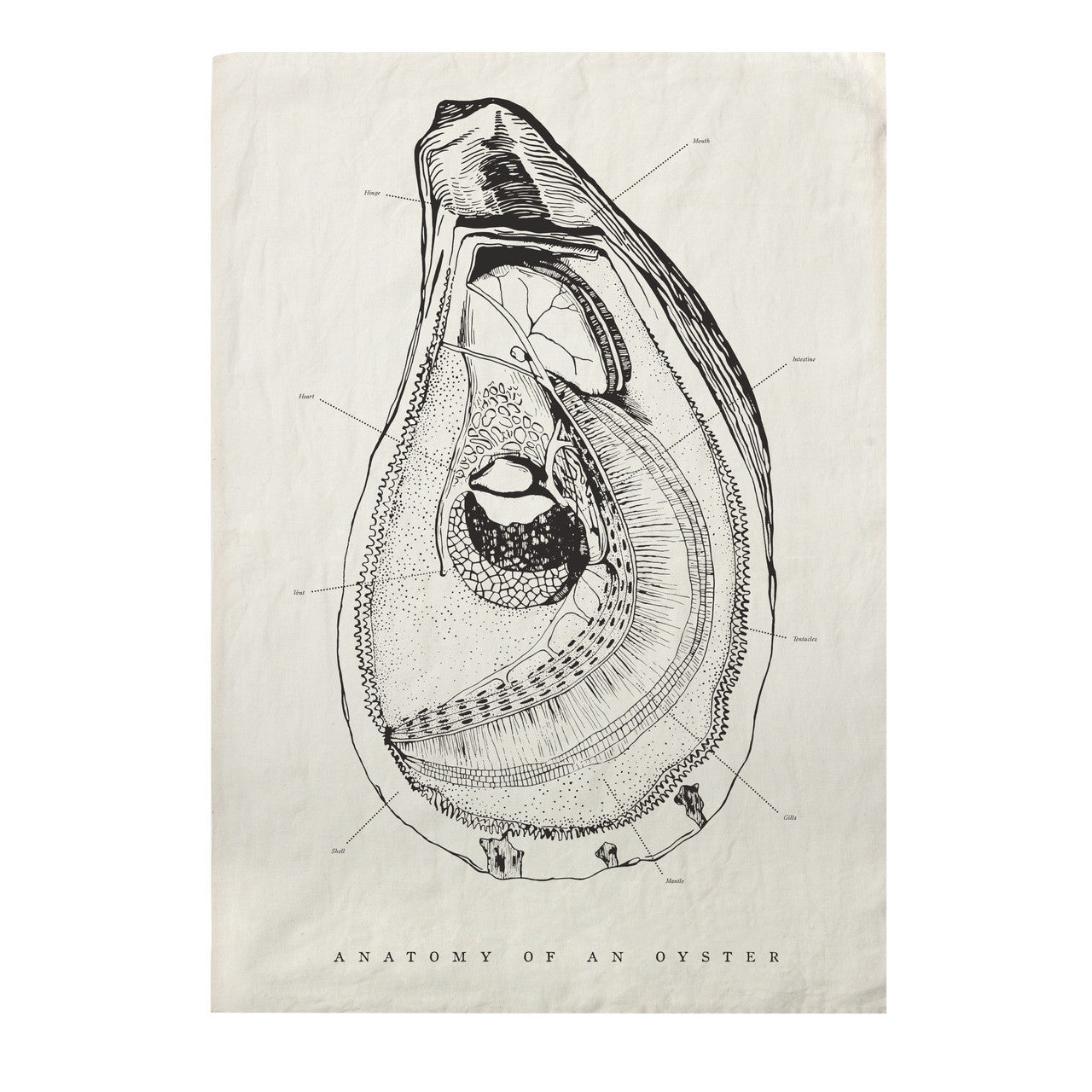 Sir Madam Oyster Anatomy Tea Towel